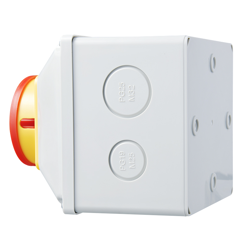 LW26GS Caixa à prova d'água com interruptor rotativo